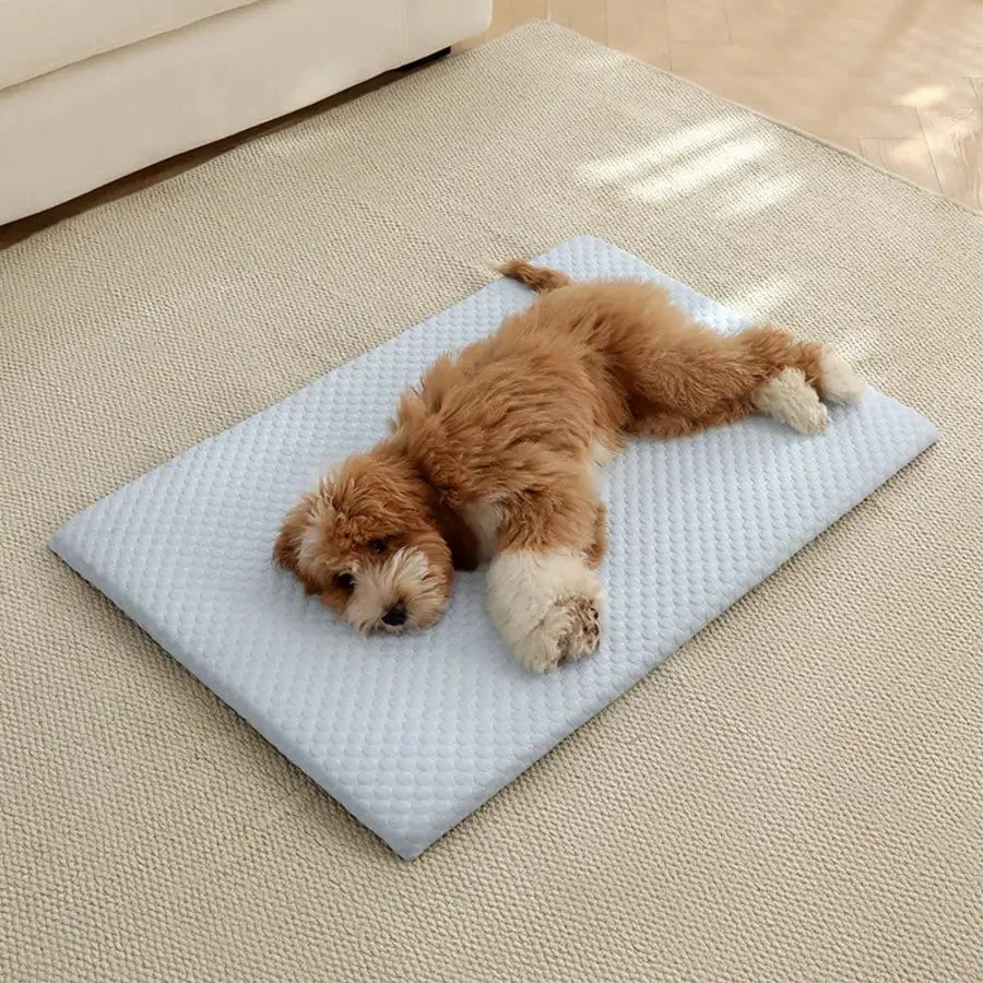Breathable Cooling Cat and Dog Bed With Thick Cotton Padding