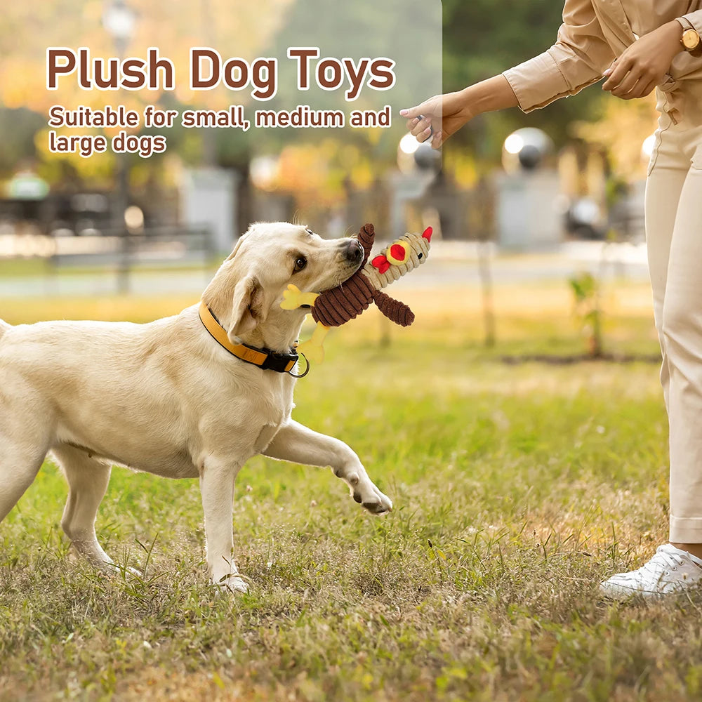 Premium Plush Squeaky Dog Chew Toys Assorted Value Pack