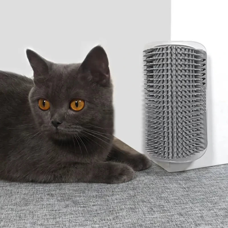 Interactive Cat Scratching Brush And Grooming Comb With Catnip