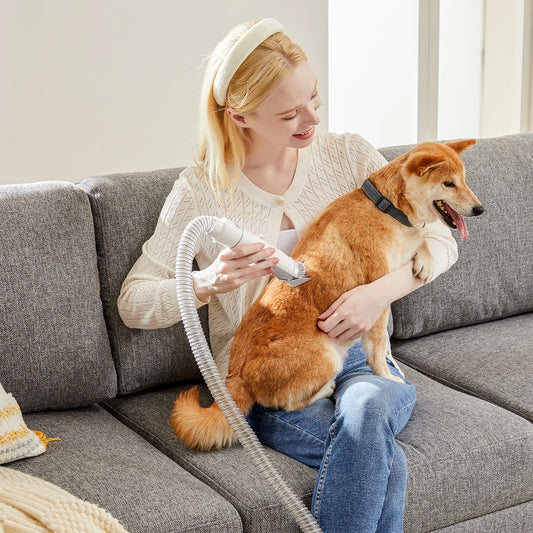 Sweetcrispy Professional Pet Grooming Vacuum With Cordless Clippers