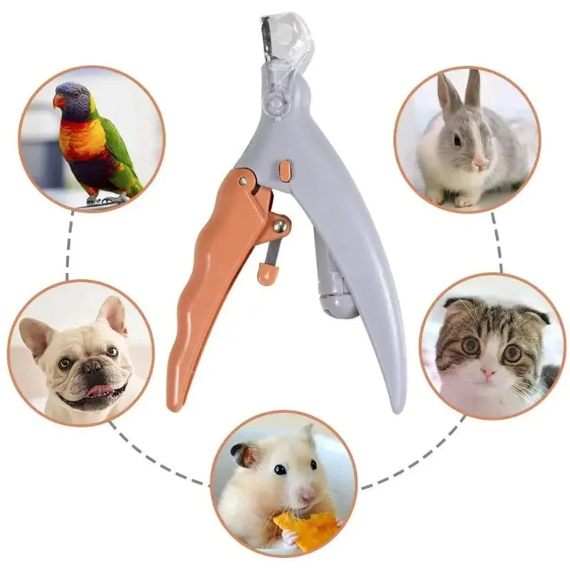 Led Light Pet Nail Clipper With Magnifier For Dogs And Cats