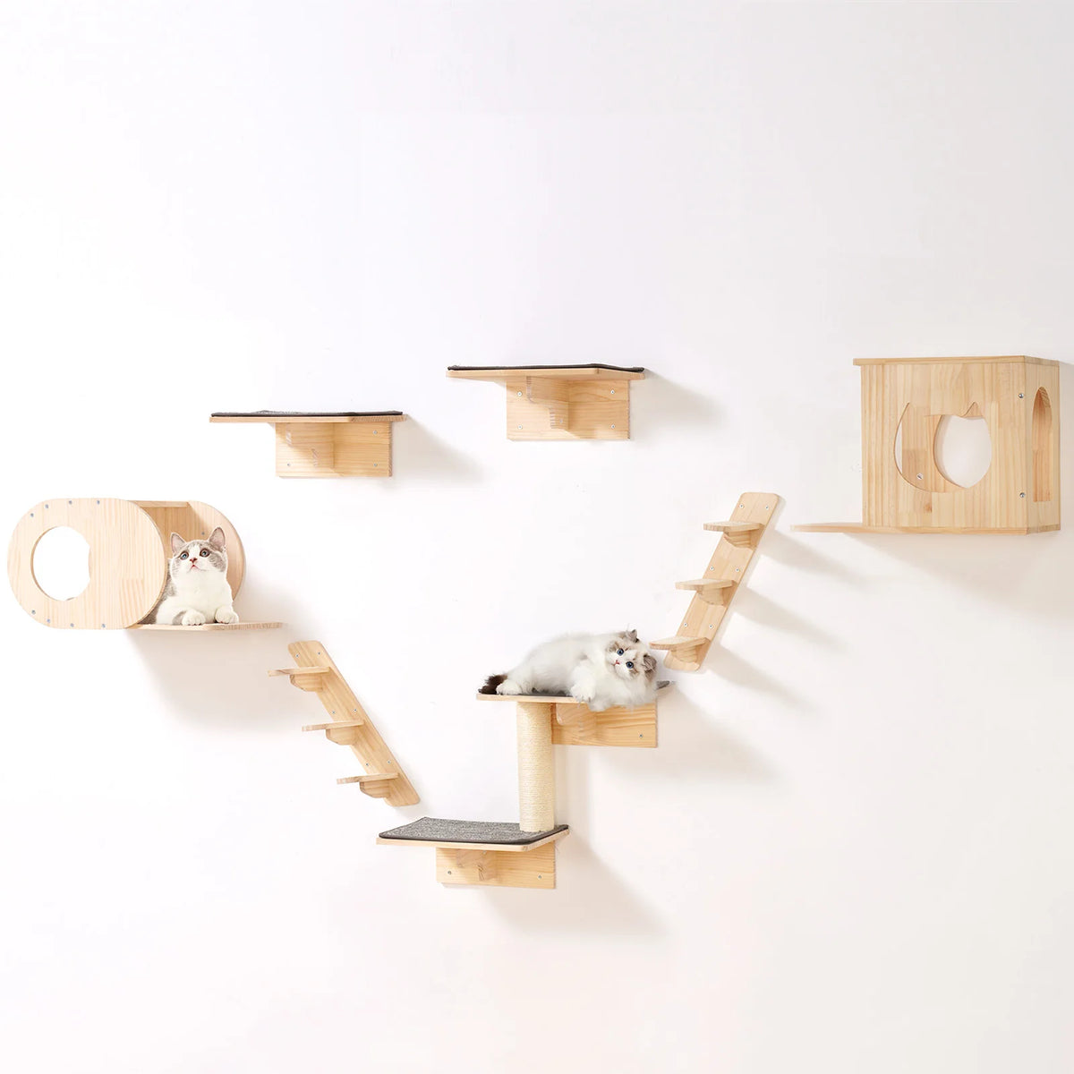 SucceBuy Wall Mounted Cat Shelves With Jumping Boards And Hammock