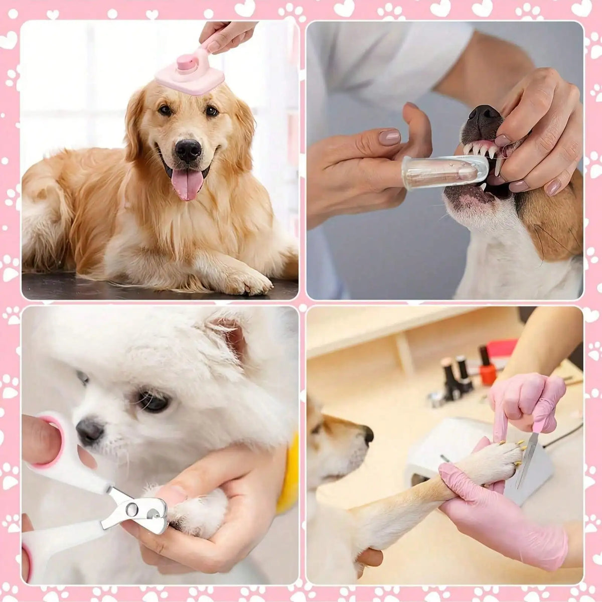 Premium Pet Grooming Kit With Clippers Flea Comb And Brushes