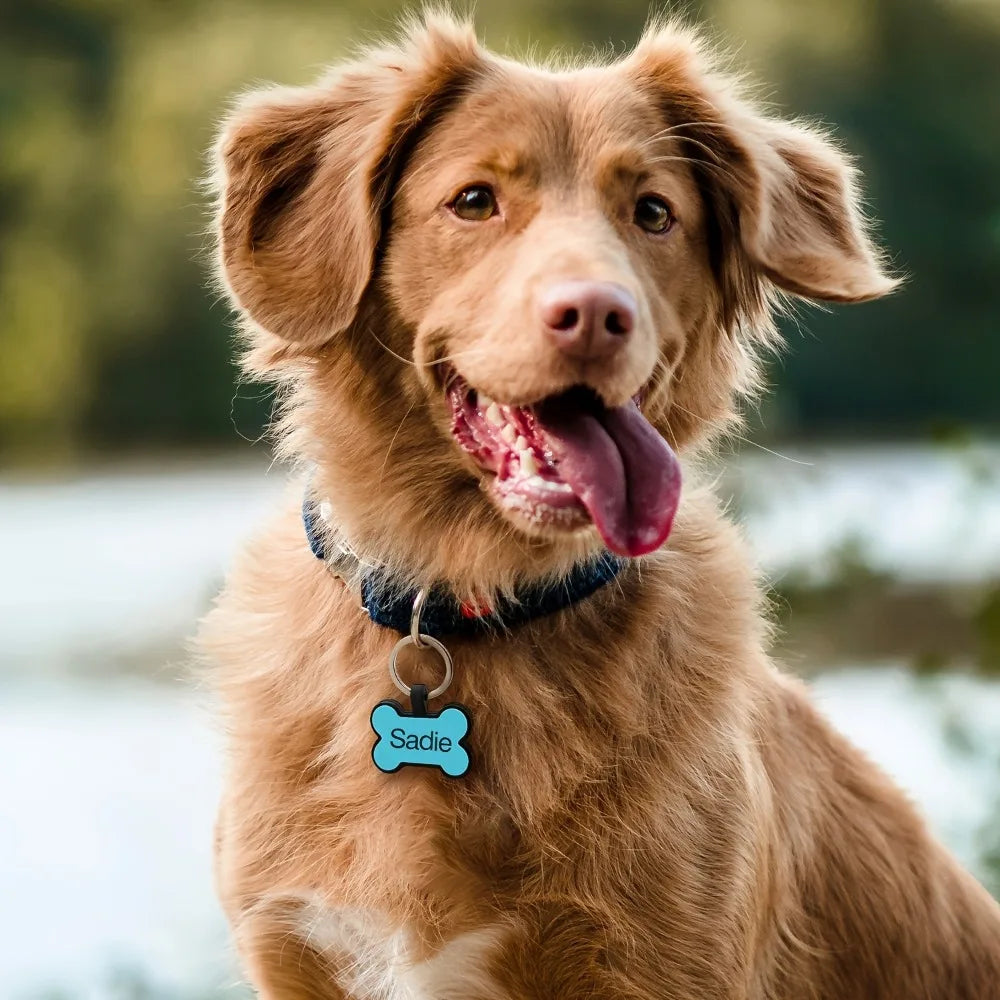 Personalized Bone Shaped Silicone Pet Dog Identification Tag