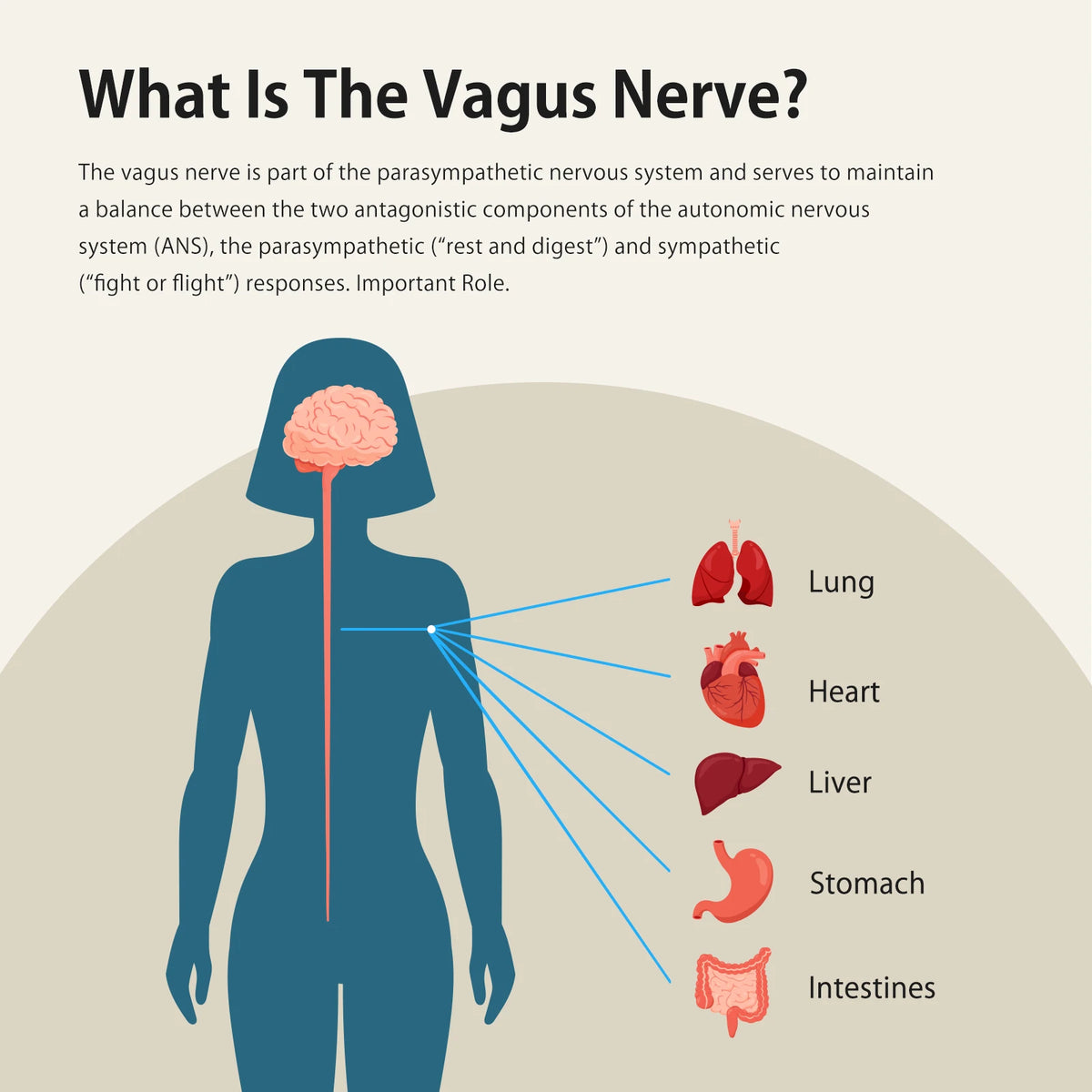 ZENOWELL Vagus Nerve Stimulation Device for Sleep and Stress Relief