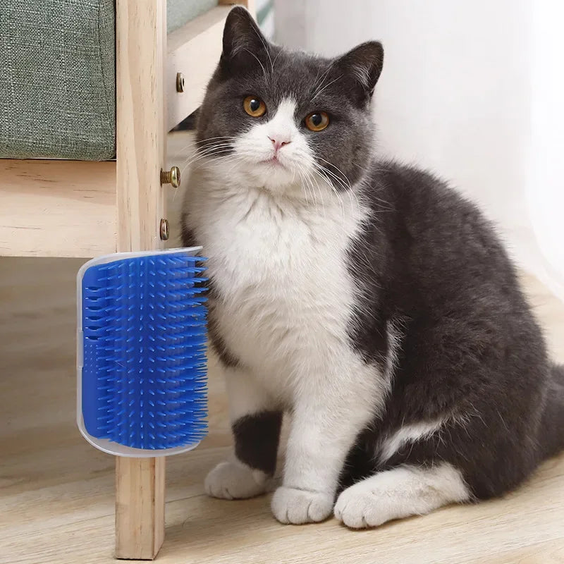 Interactive Cat Scratching Brush And Grooming Comb With Catnip
