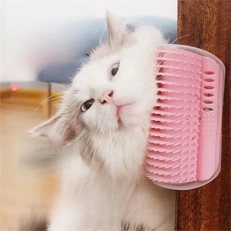 Interactive Cat Scratching Brush And Grooming Comb With Catnip