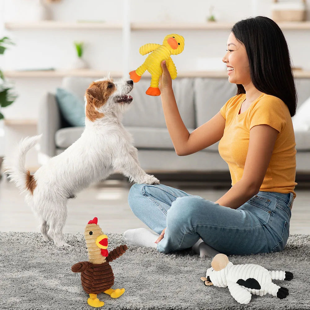 Premium Plush Squeaky Dog Chew Toys Assorted Value Pack