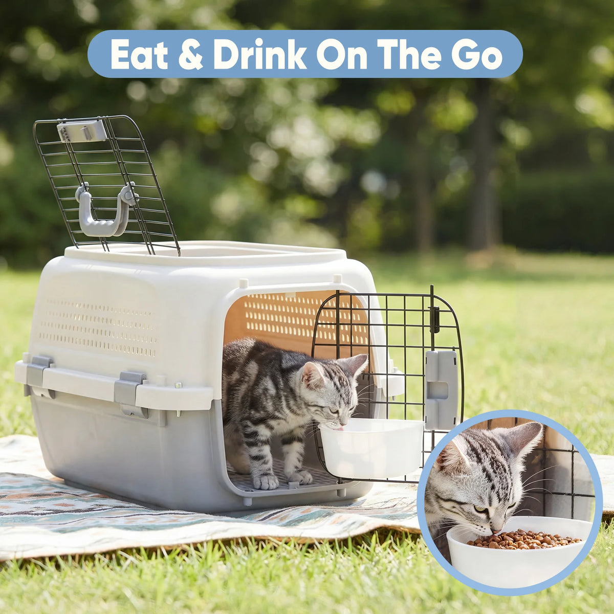 Premium Travel Pet Carrier Crate For Small Dogs And Cats