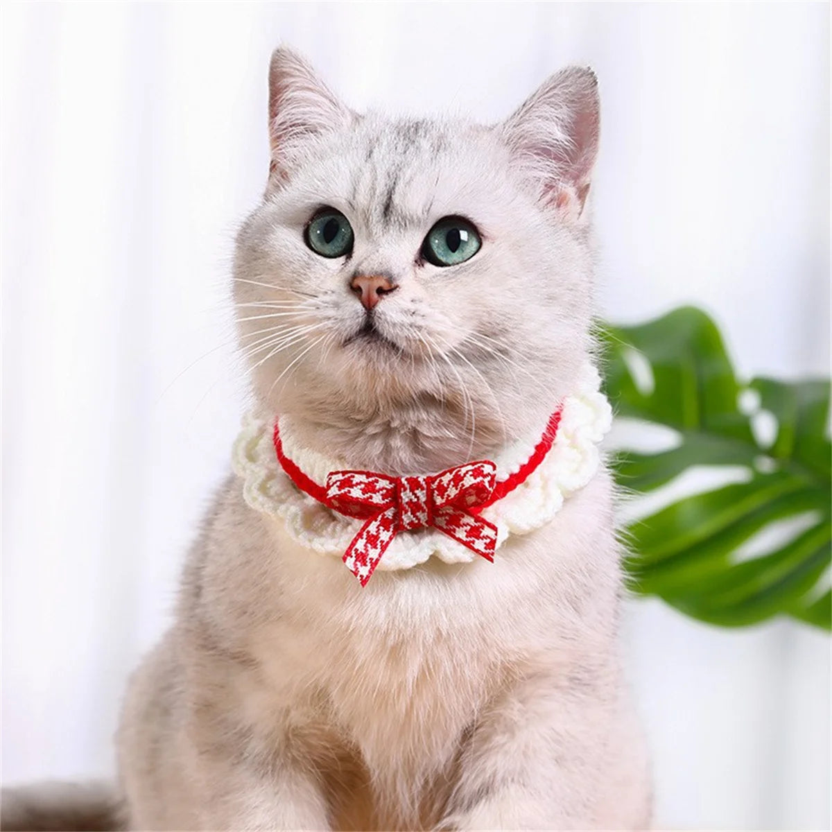 Handknitted Adjustable Bow Knot Pet Collar For Cats And Dogs